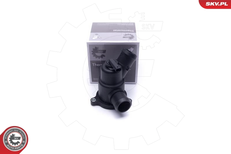 Thermostat, coolant